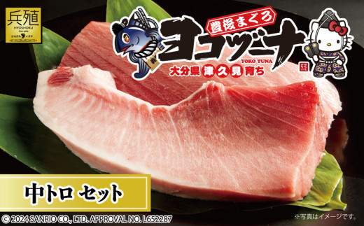 豊後まぐろ ヨコヅーナ刺身用・中トロ 400g 　本鮪 本マグロ 海鮮丼 刺し身 盛り合わせ 冷凍 魚の刺身 大分県産 九州産 津久見市