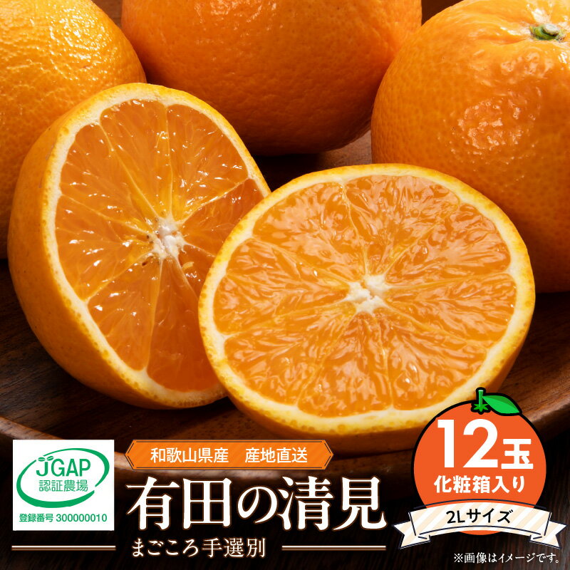 【ふるさと納税】和歌山県産 有田の 清見 化粧箱入り 2Lサイズ 12個入り（まごころ手選別）
