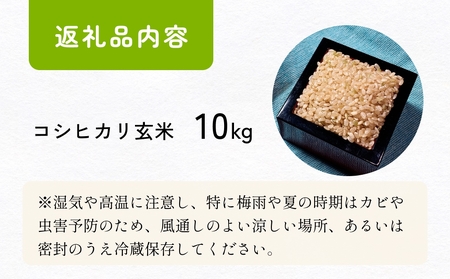 【交響するお米】［玄米］自然栽培 コシヒカリ 10kg（富山県 氷見市 / 令和7年産） |   移住農家が里山から直送 米 こしひかり