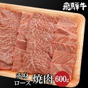 【ふるさと納税】飛騨牛ロース、もも肉焼肉600g（300g×2） A5等級 ブランド牛 和牛 赤身 霜降り 朝日屋 TR4217