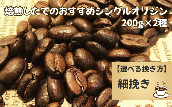 焙煎したてのおすすめシングルオリジン 200g×2種（細挽き）