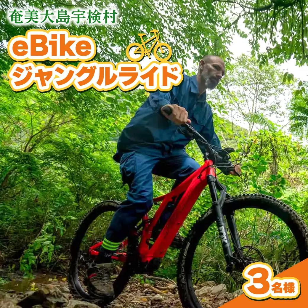 eBikeジャングルライド 3名様 奄美大島 宇検村 鹿児島県 旅行 自然 冒険 完全プライベート