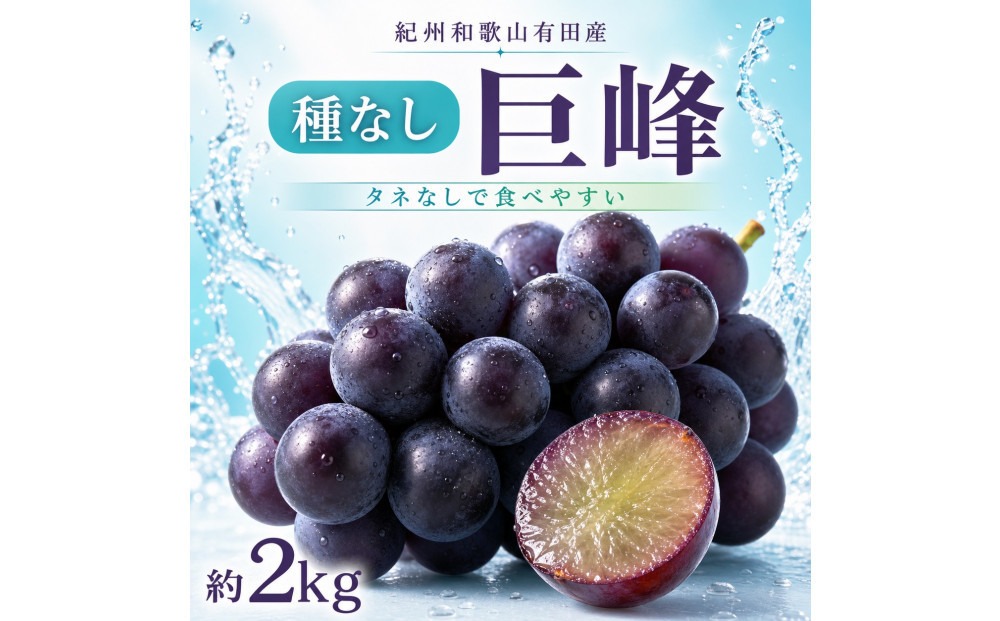 紀州有田産の種なし巨峰ぶどう約２kg【先行予約】【2026年8月中旬以降発送予定】AN026