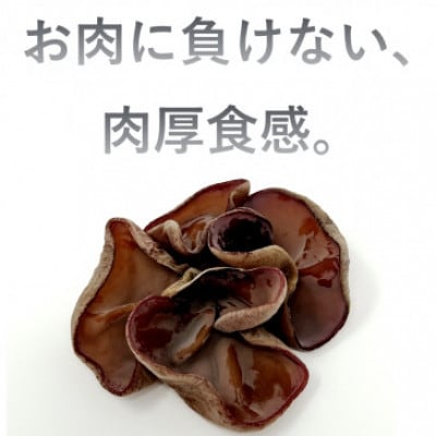 生きくらげ　300g×6セット　沖縄県北中城村産【配送不可地域：離島】