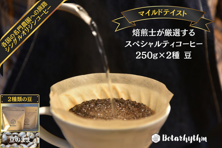 スペシャルティーコーヒー 【マイルドテイスト】 250g×2種類【豆のまま】 mi0043-0009-1 珈琲 ｾｯﾄ ｺｰﾋｰ 豆 焙煎