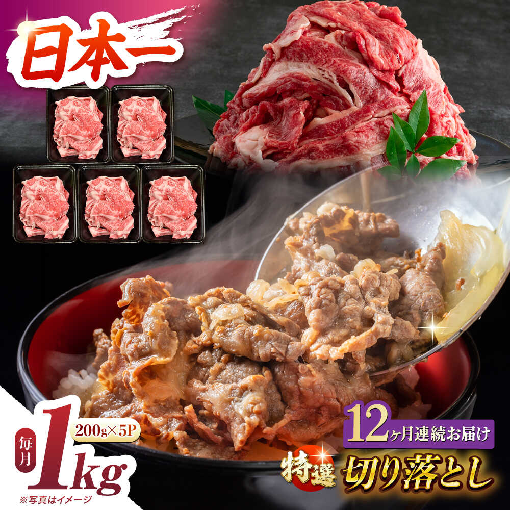 【ふるさと納税】【12回定期便】【A4-A5】 長崎和牛 特選切り落とし 約1kg（200g×5パック） 長与町/meat shop FUKU[ECS020] 定期便 ていきびん 国産 長崎 和牛 肉 特選 切り落とし 小分け 料理 しゃぶしゃぶ すき焼き 焼肉 バーベキュー 肉じゃが 大容量 冷凍