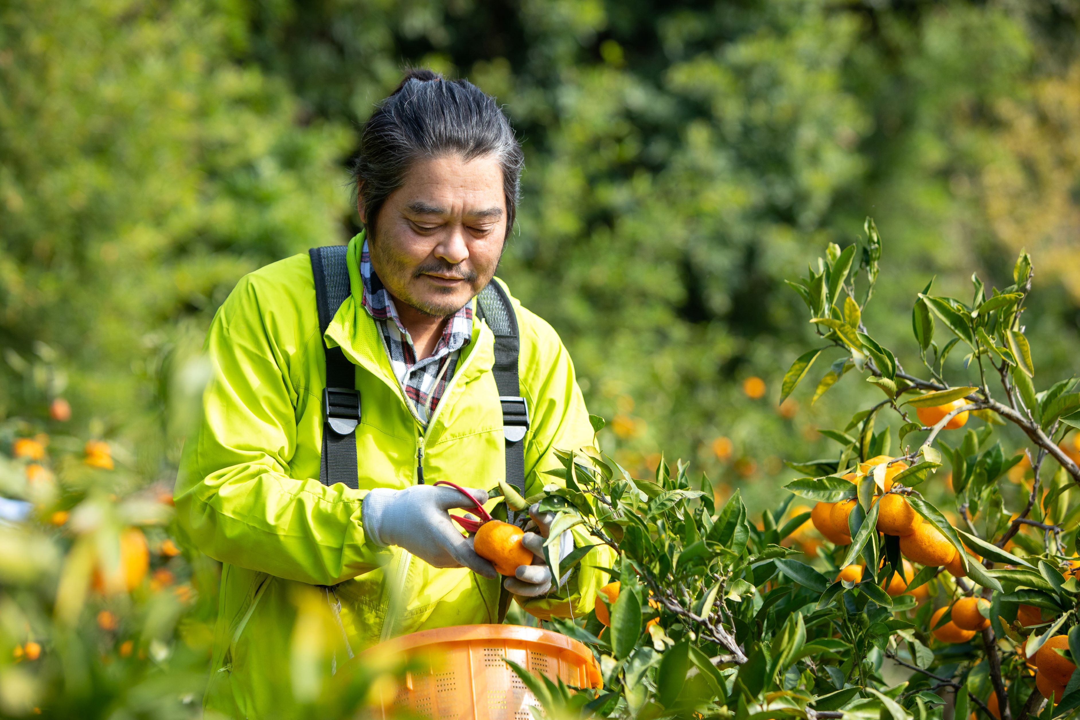M089　プレミアムみかんジュ−ス