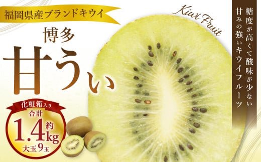 福岡県 ブランド キウイフルーツ「 博多 甘うぃ 」 化粧箱 大玉 9玉 約1.4kg キウイ きうい フルーツ 果物 くだもの 果実 国産 【2025年11月上旬～11月下旬発送予定】