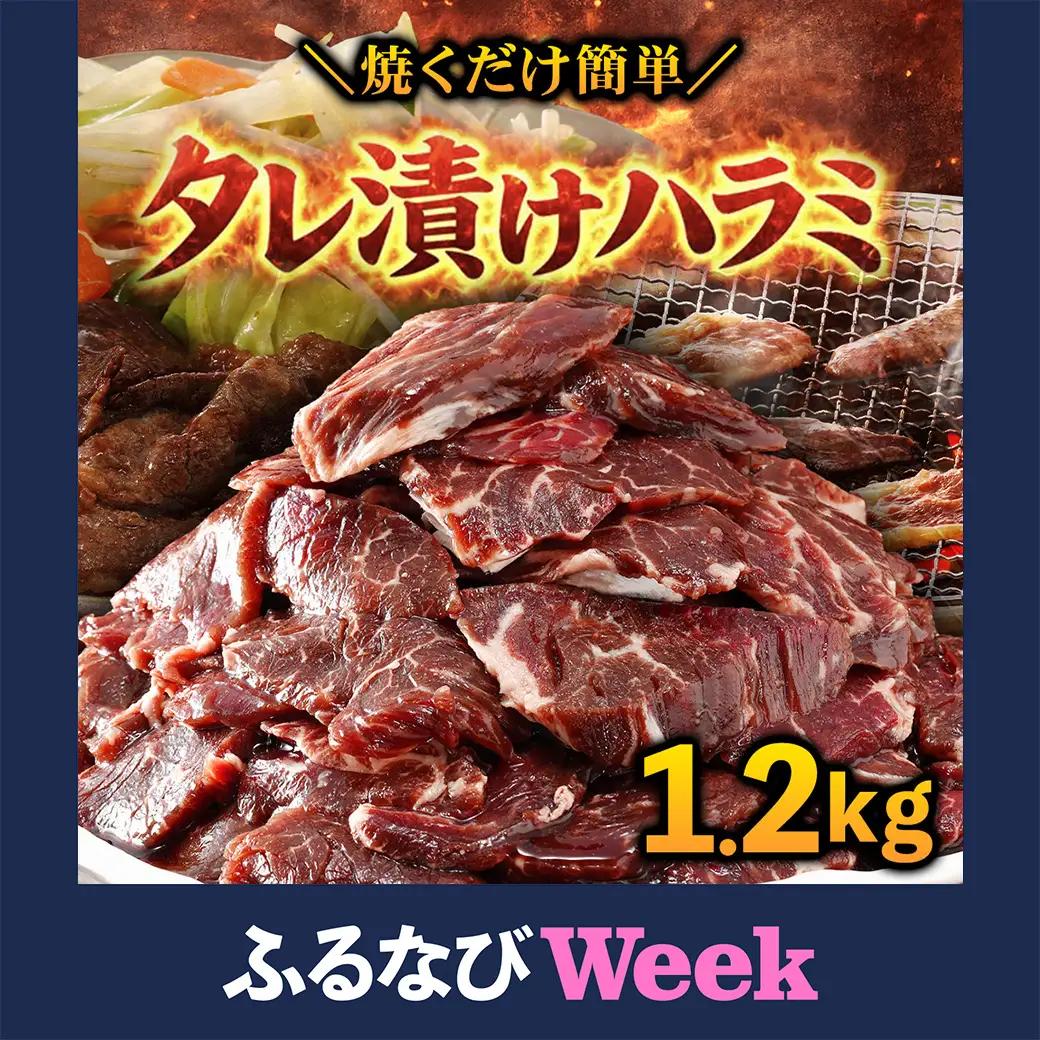 【ふるなびWEEK対象】タレ漬け ハラミ 1.2kg 焼肉用 BBQ 簡単調理 fc-EO023-C タルソン