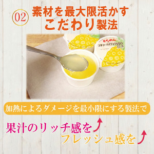 ゼリー パイナップル 24個  入り プデナー ゼリー フルーツ とくれん フルーツゼリー 給食 