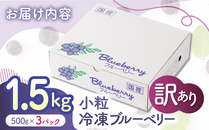 【訳あり】 冷凍ブルーベリー 小粒 1.5kg（500g×3pc） 【すみれファーム】 [ZEP046]