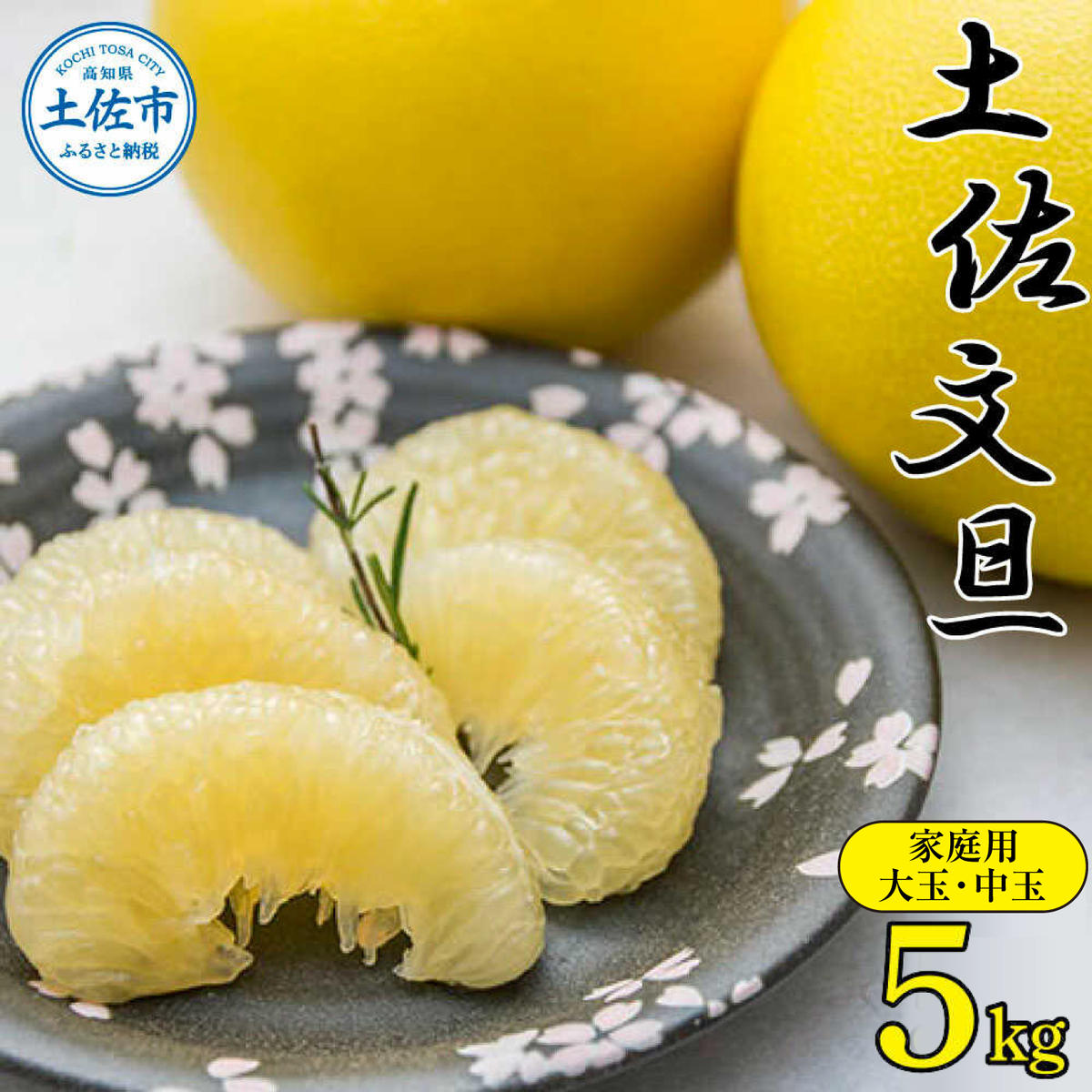 【訳あり】【先行予約】高知県産 土佐文旦 家庭用 約5kg 〈2027年2月〜発送〉 ぶんたん ブンタン 果物 柑橘 フルーツ お取り寄せ おいしい 美味しい 高知県 土佐市【株式会社種田農園】[BQBW004]
