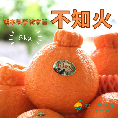【雑誌「MORE」掲載果樹園】松川果樹園の不知火　贈答用相当品　5kg(15～20玉程度)【1447434】