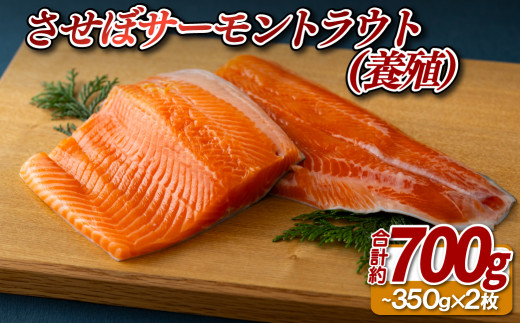 サーモン トラウト 700g ( 350g × 2 ) 産地直送 養殖 させぼ サーモントラウト 鮭 サケ 寿司 寿し 割烹 橘 長崎県 佐世保市