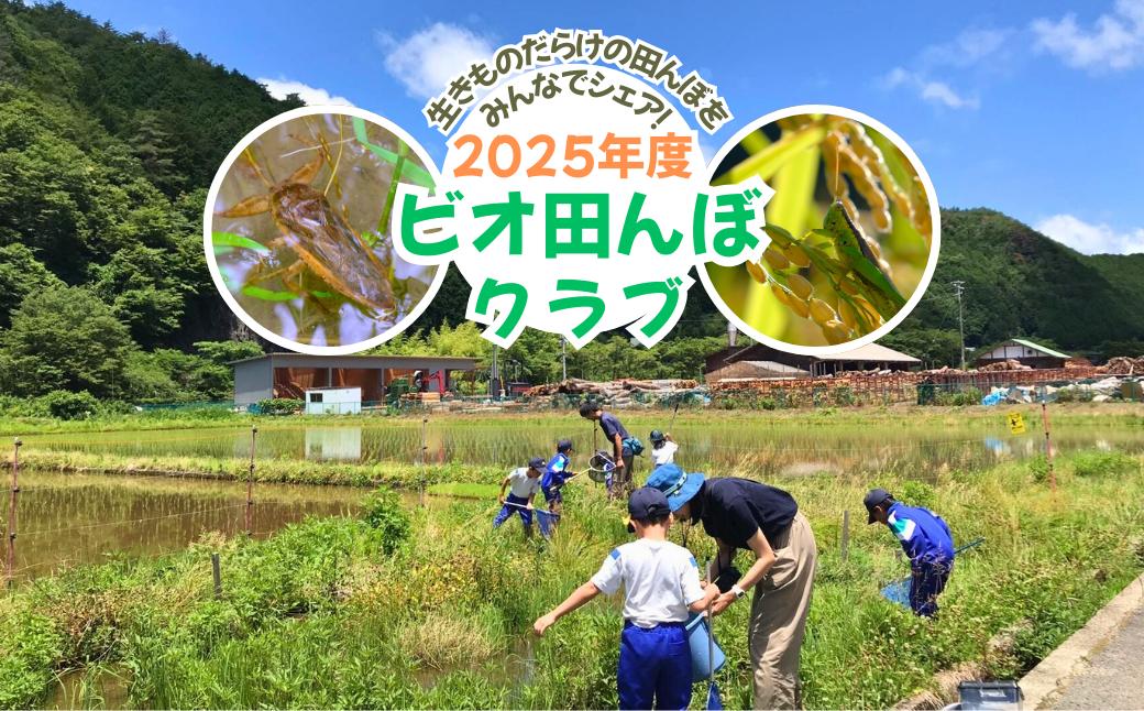 
            ビオ田んぼクラブ 年会費 ビオトープ 田んぼ 田植え 生き物 観察 稲刈り 米 収穫 羽釜 里山 日本酒 自然 体験 A-cz-A03A
          