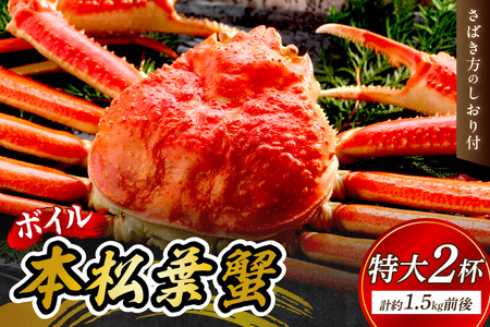 【 国産日本海の松葉蟹をボイルでお届け！ 】ボイルでお届け。ボイル本松葉蟹 特大2杯（タグ付き）Cセット＜1月11日～2月末までのお届け＞ 国産 カニ 魚介類 海の幸【097_0729】