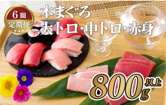
                  A138p 【全6回定期便 総計4.8kg】本マグロ (大トロ・中トロ・赤身)  計800g以上 長崎県産 海鮮丼のタレ付き【本家永松家】マグロ まぐろ 鮪 大とろ 中とろ 赤身 刺身 海鮮丼 定期便
                