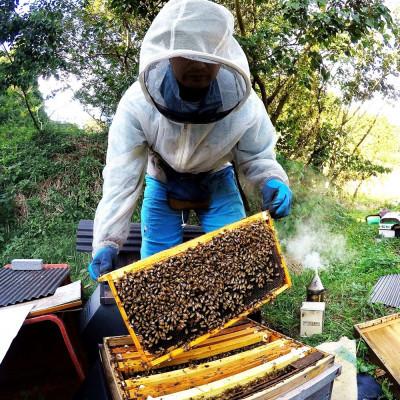 ふるさと納税 基山町 【毎月定期便】佐賀県産はちみつ『みよしの百花蜜』220g全3回 |  | 03