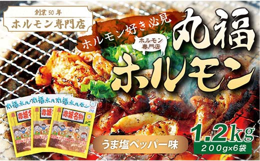 【定期便・全6回】焼くだけ簡単「丸福ホルモン (うま塩ペッパー味)」定期便 合計7.2kg（1.2kg×6回）｜豚ホルモン 豚⾁ 焼⾁ BBQ ガツナンコツ レバー ⽩モツ ⼤トロ ちょい飲み 味付き 冷凍便 F4H-0502