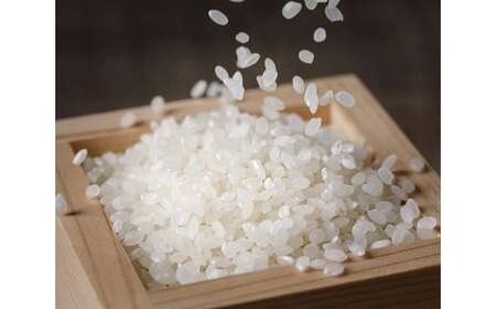 米 令和7年 のと米 こしひかり 精米 10kg