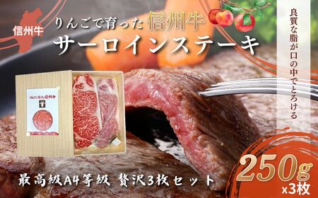 【りんごで育った信州牛】ステーキ用3枚入り【 牛肉 信州牛 サーロインステーキ 黒毛和牛 A4 サーロイン ステーキ 肉 お肉 牛 和牛 焼肉 焼き肉 BBQ バーベキュー ギフト 冷蔵 長野県 長野