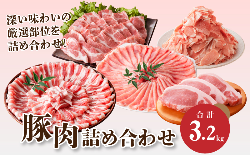 宮崎県産 豚肉詰め合わせ3.2kg K18_0040_3