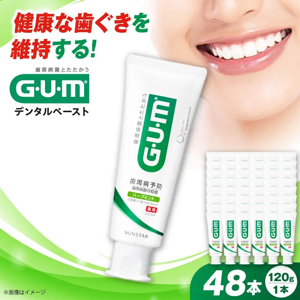 GUM デンタルペースト(ST) 120g×48本[AOAD011] 歯磨き粉