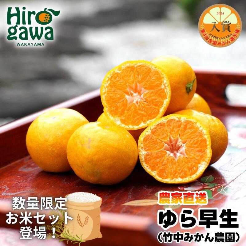 【ふるさと納税】 有田みかん ゆら 早生 3kg 5kg サイズ混合 7000円 10000円 ※11月上旬～11月下旬に順次発送 / みかん 柑橘 果物 フルーツ くだもの 果実 //mandarin
