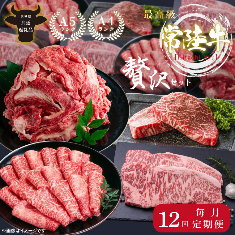 【定期便特別価格】【12回定期便】最高級A4.A5ランク 常陸牛贅沢セット(頒布会)【人気肉 お肉 牛肉 和牛 黒毛和牛 国産黒毛和牛 ロース肉 ステーキ 国産牛 焼肉 焼き肉 バーベキュー BBQ A5 ブランド牛】（CR114）
