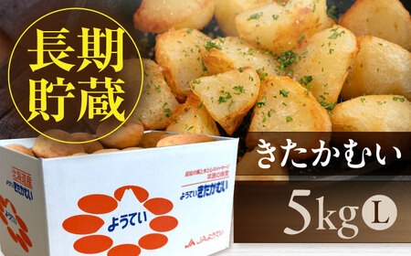 【2026年1月以降順次発送】 じゃがいも きたかむい 5kg 《喜茂別町》　【Aコープようてい】 ジャガイモ 野菜 季節の野菜 詰め合わせ 北海道 産地直送[AJAK029]