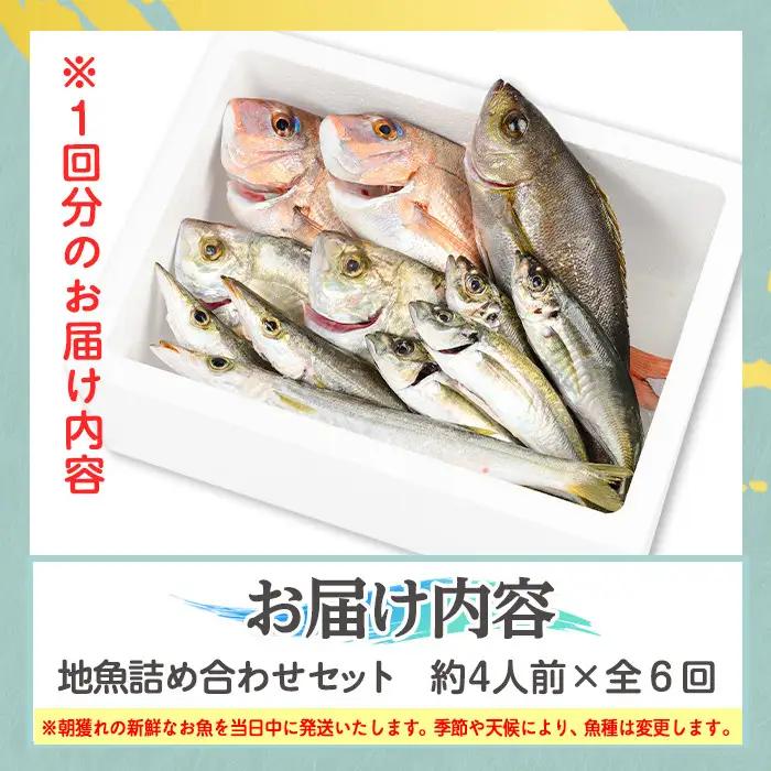 【6回定期便】鮮魚ボックス 鮮魚BOX 地魚 詰め合わせ 約4人分 産地直送【マルケイ水産】D09001