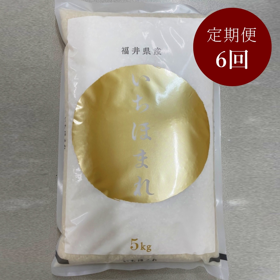 福井県鯖江市産いちほまれ　5kg　定期便6ヵ月コース