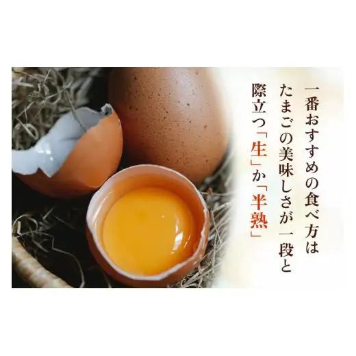 高原名水 卵 60個｜豊かな自然で育ったアスタキサンチン含有の高原名水卵【感動の甘さと濃さ】栃木県 矢板市