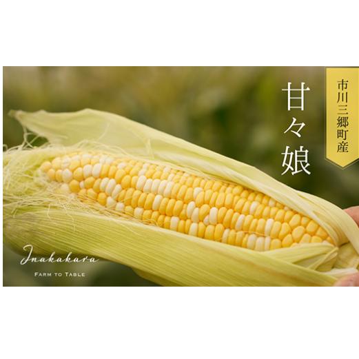 【ふるさと納税】【2025年6月上旬から発送】プレミアムとうもろこし「甘々娘」6本入 山梨県市川三郷町産Inakakara[5839-1817]