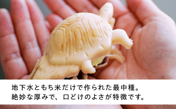 最中 ジェラート カメ六さん 最中種8個/アイス2種 糸島市 / LoiterMarketLABO [AGD033]