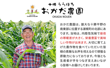 原種黒千石豆 5種セット 黒豆 原種黒千石 きな粉 十勝うらほろ岡田農園《30日以内に出荷予定(土日祝除く)》北海道 浦幌町 スーパーフード 黒千石茶 豆 大豆
