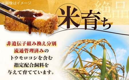 【全2回定期便】 三元豚 ロースステーキ 6枚（100g/枚）  藻塩付き 《喜茂別町》【平田牧場】肉 豚肉 ロース ステーキ ステーキ用 とんかつ トンテキ 生姜焼き 冷蔵配送 定期便[AJAP02