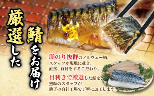 厳選 塩サバ フィーレ 約 3kg ノルウェー産 冷凍 ｻﾊﾞ 鯖 塩さば 塩鯖 フィレ フィーレ 厳選 海鮮 魚 訳なし 正規品 大容量 青魚 おかず 惣菜 魚介 おつまみ 弁当 人気 冷凍食品 グ
