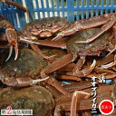 【ふるさと納税】◆期間・数量限定◆訳あり 活オオズワイガニ約2kg(8尾前後入)[02-1301]※離島・沖縄県不可※ 北海道 浦河 ふるさと納税 オオズワイガニ カニ 活 漁協直送 冷蔵発送 送料無料