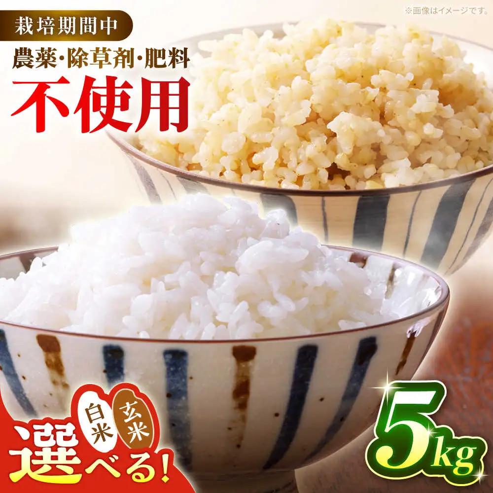 令和8年産 新米 5kg 黒川つばくろ農園[AWCB001] 米