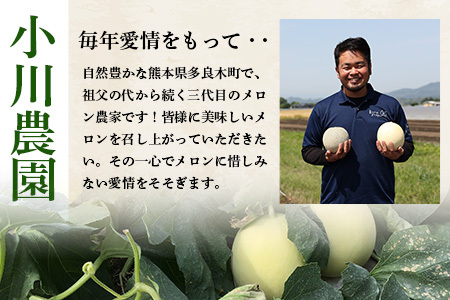 【2025年4月中旬発送開始】【先行予約】熊本県産 アンデスメロン 2玉 約2.5kg以上 ご予約 令和7年 先行 メロン めろん フルーツ 果物 くだもの アンデス 甘い ジューシー 果実 糖度14