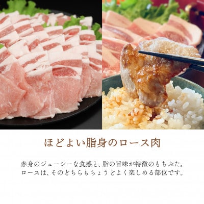 ジューシー!　ブランド豚「和豚もちぶた」ロース焼肉用1kg【配送不可地域：離島】