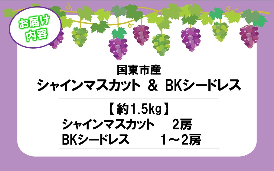 テレビで紹介されました！【先行予約】【令和8年発送】農家直送！ 新鮮！ 朝づみぶどう シャインマスカット & BKシードレス 種なし 約1.5kg フルーツ 果物 贈答 大分県産 採れたて_2658R