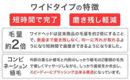 歯ブラシ 極細替えブラシ ワイド 青 24本