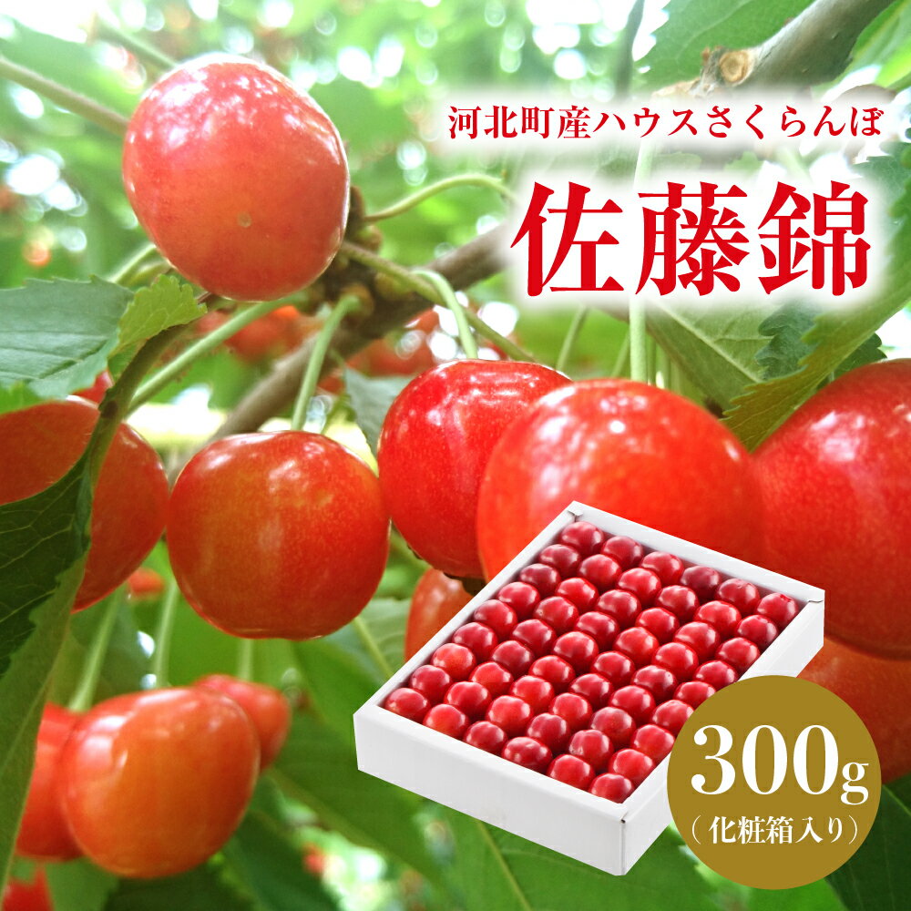 【ふるさと納税】【令和8年産】ハウスさくらんぼ 佐藤錦 300g 化粧箱 5月 特秀 L 以上 冷蔵配送 加温 サクランボ チェリー フルーツ 果物 果肉 青果 贈答 プレゼント 贈り物 お取り寄せ 送料無料 東北 山形県 河北町【JAさがえ西村山】