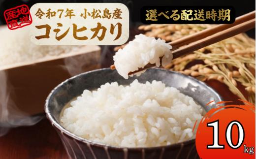 【2026年5月発送】米 コシヒカリ 10kg 小松島市 令和7年産 精米 白米 お米 こしひかり 人気 ご飯 ごはん 国産米 徳島県