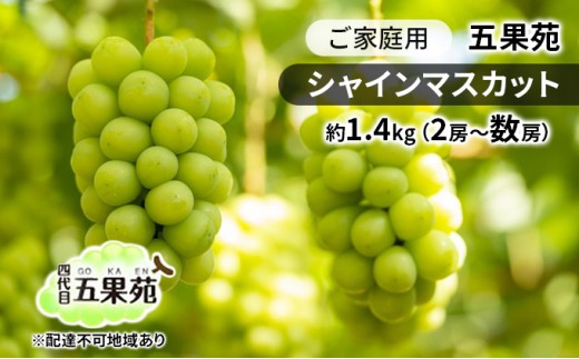 
            ぶどう 2026年 先行予約 ご家庭用 シャインマスカット 約1.4kg（2房～数房） ぶどう フルーツ 果物 岡山 五果苑 減農薬 甘い 美味しい 人気 種なし 皮ごと デザート おもてなし 
          