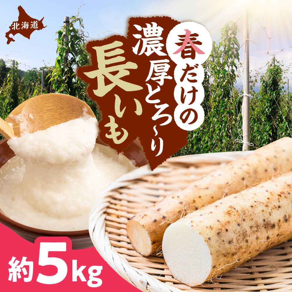 【ふるさと納税】【2026年5月上旬以降順次発送】 春掘り 長いも 5kg | 長いも 春野菜 野菜 やさい 北海道 産地直送 | 道の駅 真狩フラワーセンター[BPAM027]
