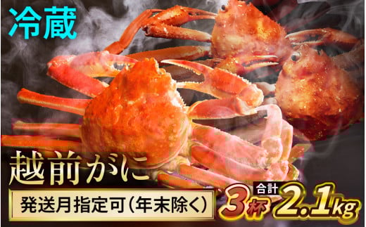 【先行予約】 【11月配送】 越前がに 700ｇ×3杯 小浜市 / まるほ商店 【配送不可地域：北海道・沖縄・離島】[BFCS023-11]