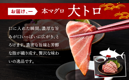 三崎マグロ 鈴木水産 天然本マグロ （ 大トロ ・ 中トロ 赤身 ） セット M105-002 冷凍 マグロ